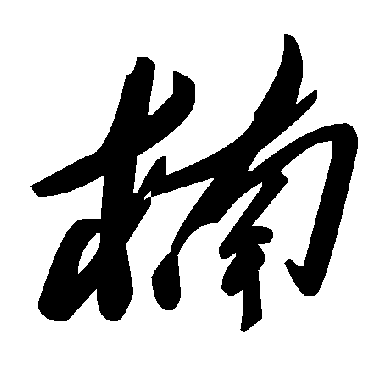 毛泽东楠