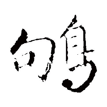 明人鸲