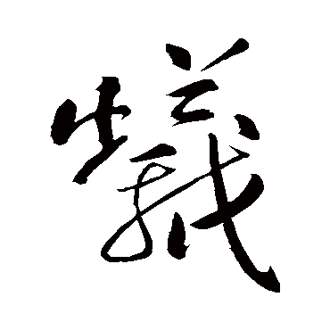 明人蟻