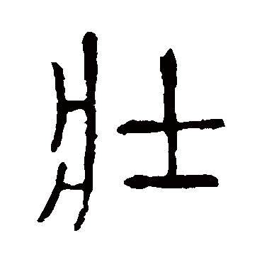 说文解字壯